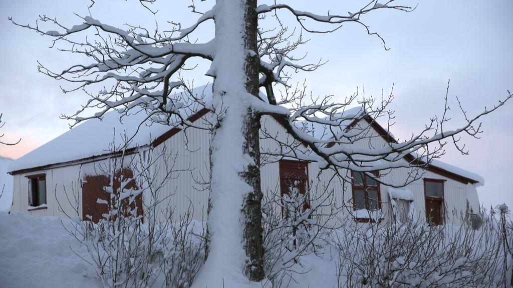 Sel Guesthouse Skálholt Kültér fotó